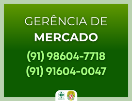 card gerencia de mercado