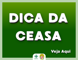 Veja Aqui a Dica da CEASA